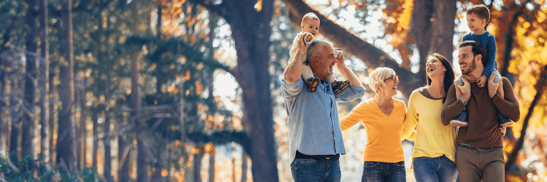 Full Mouth Rehabilitation | Dentist
